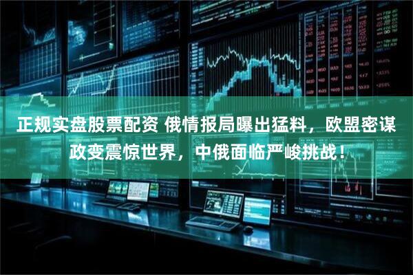 正规实盘股票配资 俄情报局曝出猛料，欧盟密谋政变震惊世界，中俄面临严峻挑战！