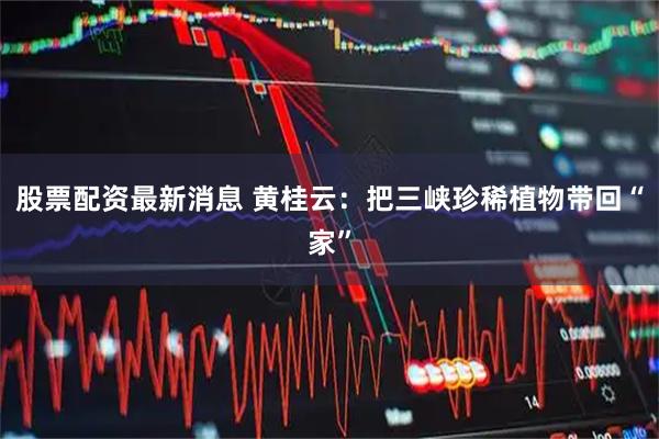 股票配资最新消息 黄桂云：把三峡珍稀植物带回“家”