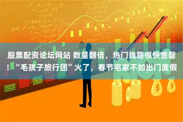 股票配资论坛网站 数量翻倍，热门线路很快售罄！“毛孩子旅行团”火了，春节宅家不如出门度假