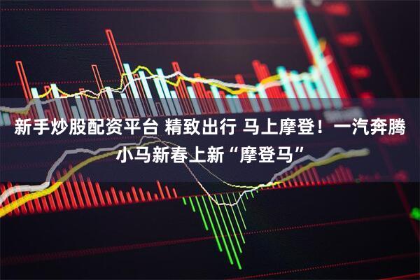 新手炒股配资平台 精致出行 马上摩登！一汽奔腾小马新春上新“摩登马”