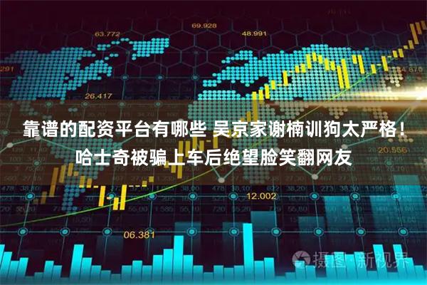 靠谱的配资平台有哪些 吴京家谢楠训狗太严格！哈士奇被骗上车后绝望脸笑翻网友