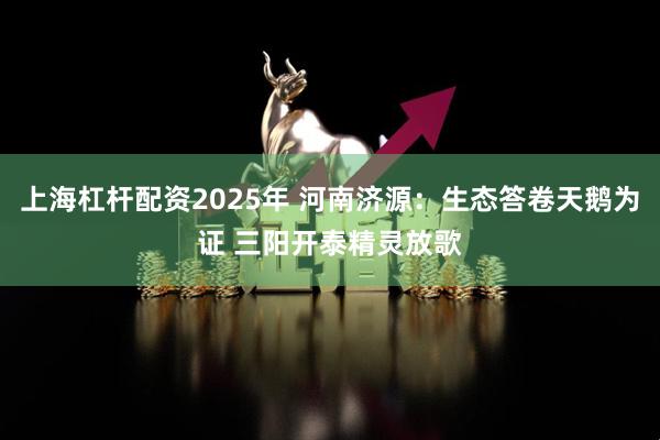 上海杠杆配资2025年 河南济源：生态答卷天鹅为证 三阳开泰精灵放歌