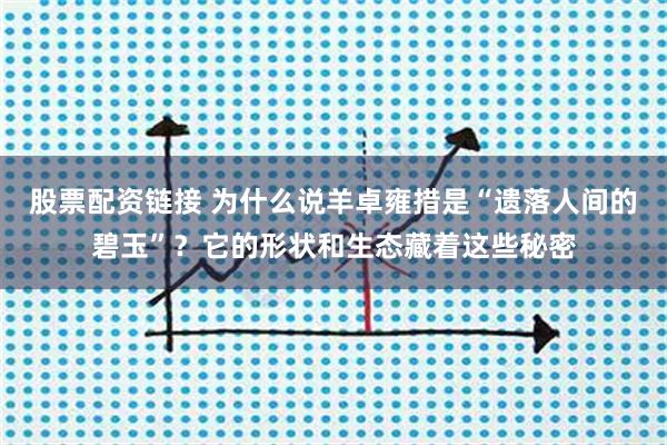股票配资链接 为什么说羊卓雍措是“遗落人间的碧玉”？它的形状和生态藏着这些秘密