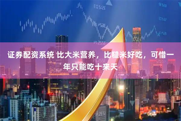 证券配资系统 比大米营养，比糙米好吃，可惜一年只能吃十来天